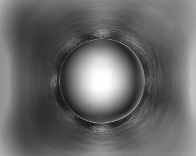 X0000096710652200802051422