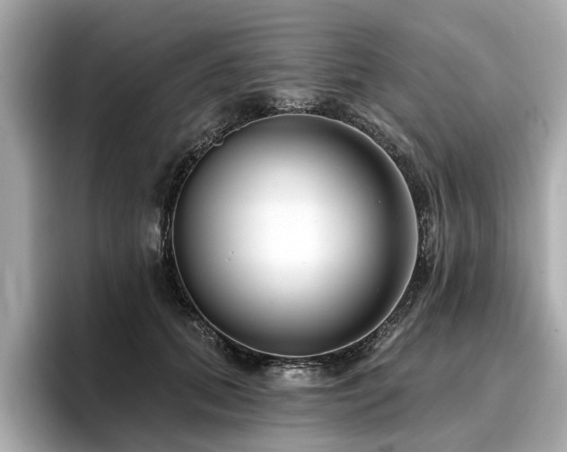 X0000096710655200802051422