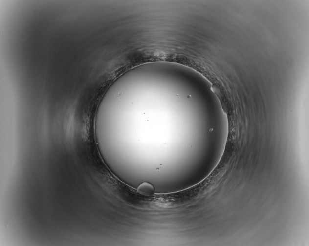 X0000096710656200802051422