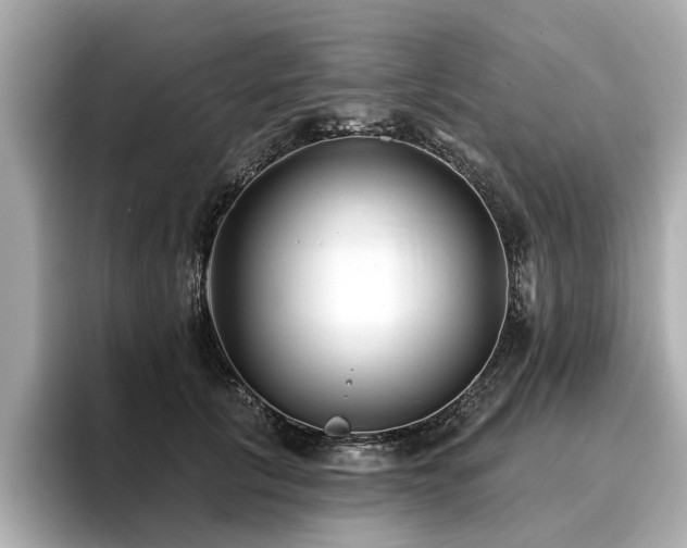 X0000096710657200802051422