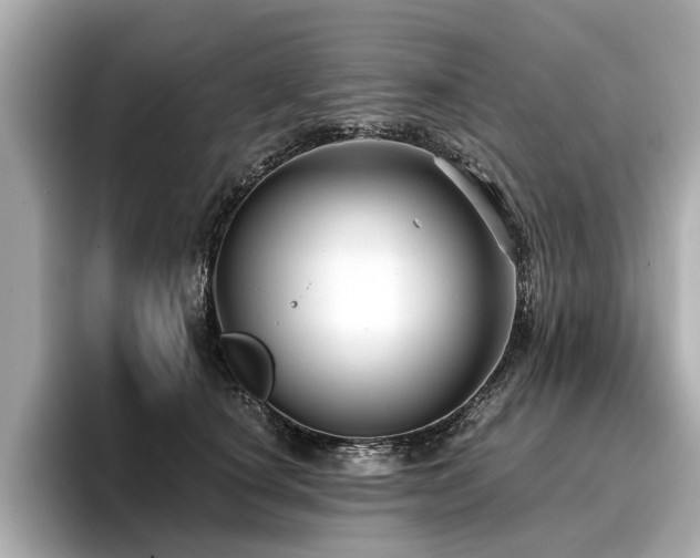 X0000096710660200802051422