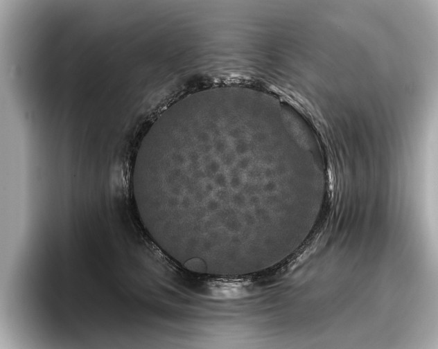 X0000096710661200802051422