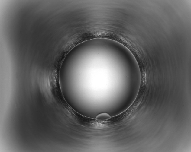 X0000096710664200802051422