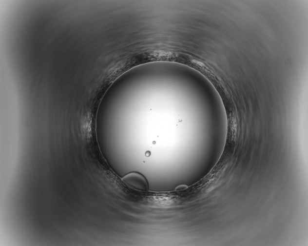 X0000096710668200802051422