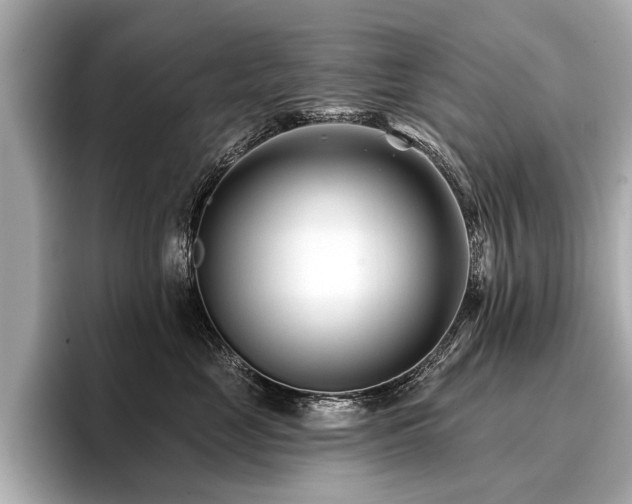 X0000096710669200802051422