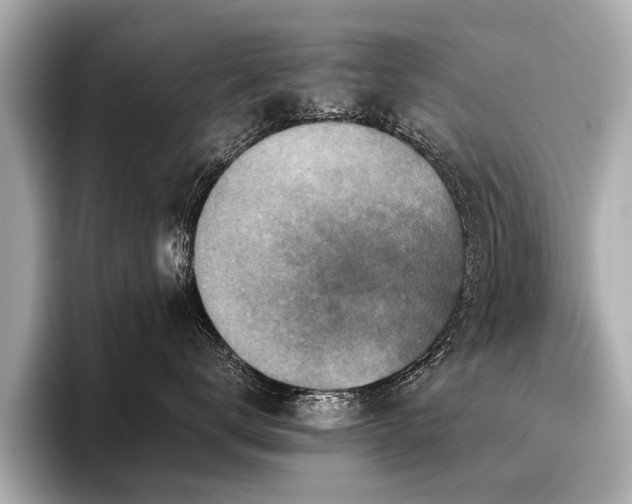 X0000096710672200802051422