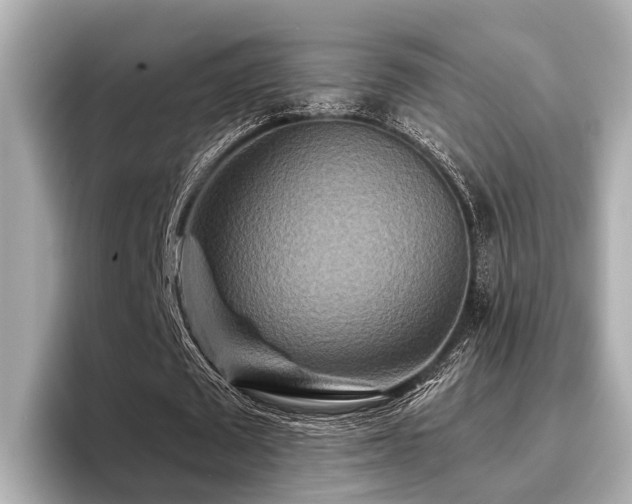 X0000096710673200802051422