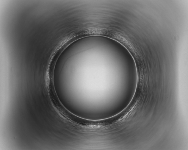 X0000096710674200802051422