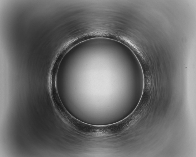 X0000096710678200802051422