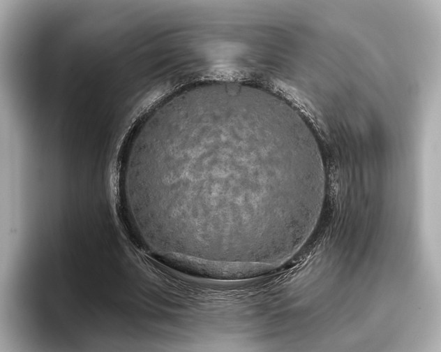 X0000096710679200802051422