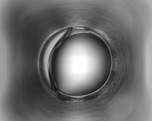 X0000096710680200802051422