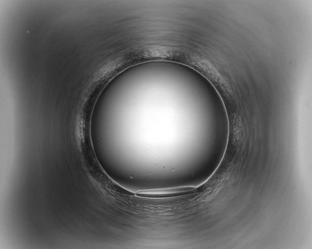 X0000096710683200802051422