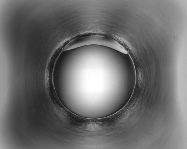 X0000096710684200802051422