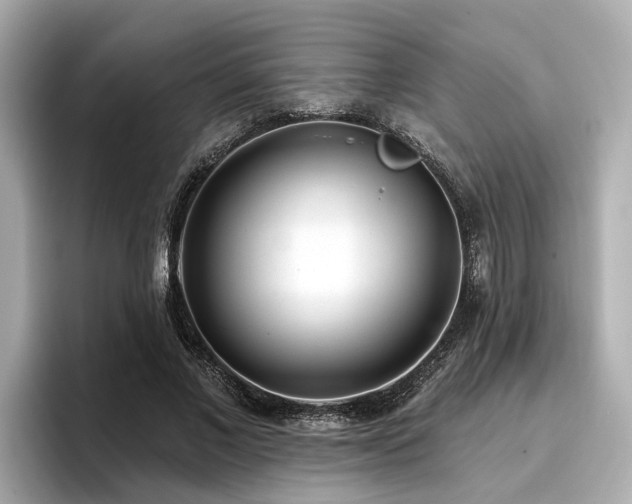 X0000096710685200802051422