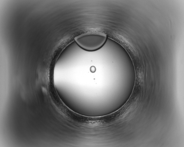 X0000096710686200802051422