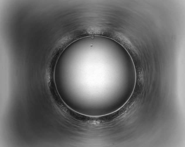 X0000096710687200802051422