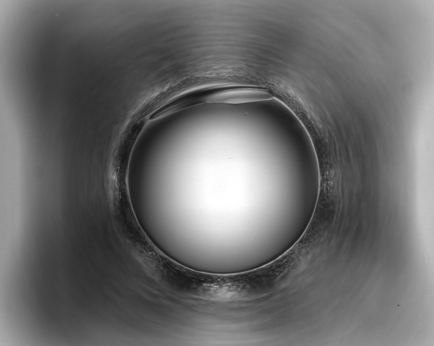 X0000096710688200802051422