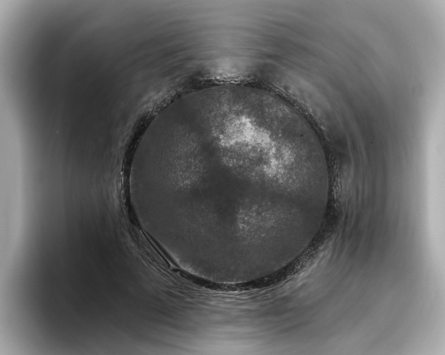 X0000096710689200802051422