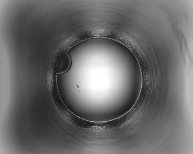 X0000096710690200802051422