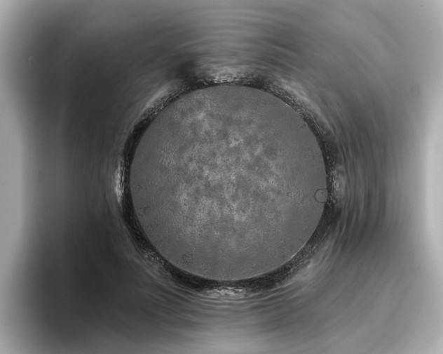 X0000096710691200802051422