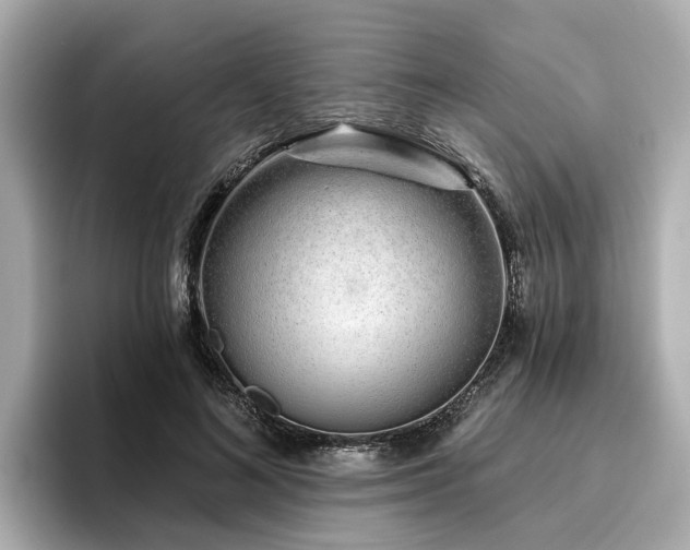 X0000096710692200802051422