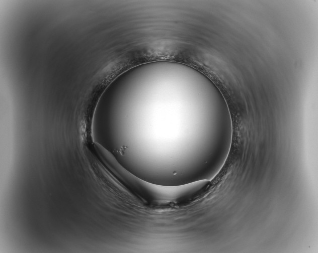 X0000096710693200802051421