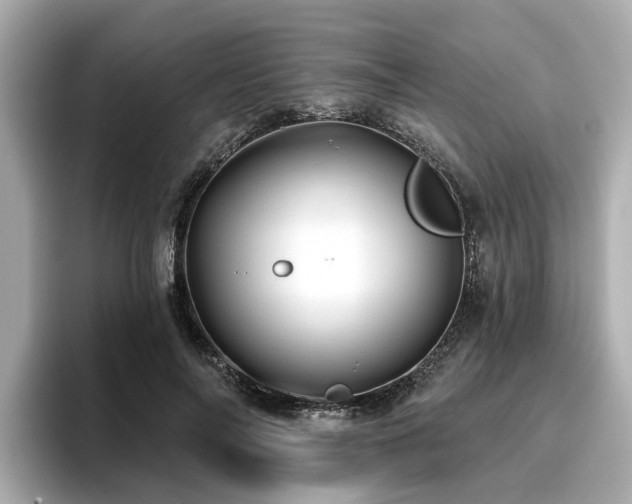 X0000096710694200802051421