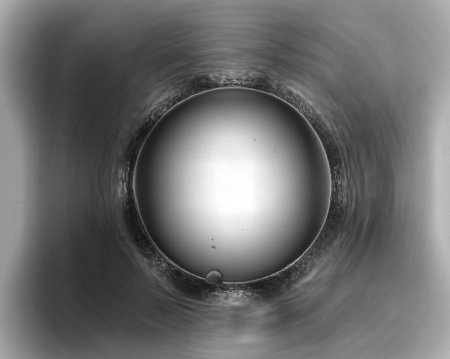 X0000096710695200802051421