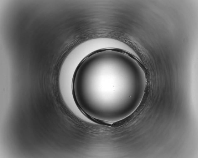 X0000096710696200802051421