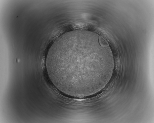 X0000096710699200802051421