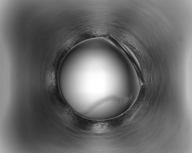 X0000096710700200802051421