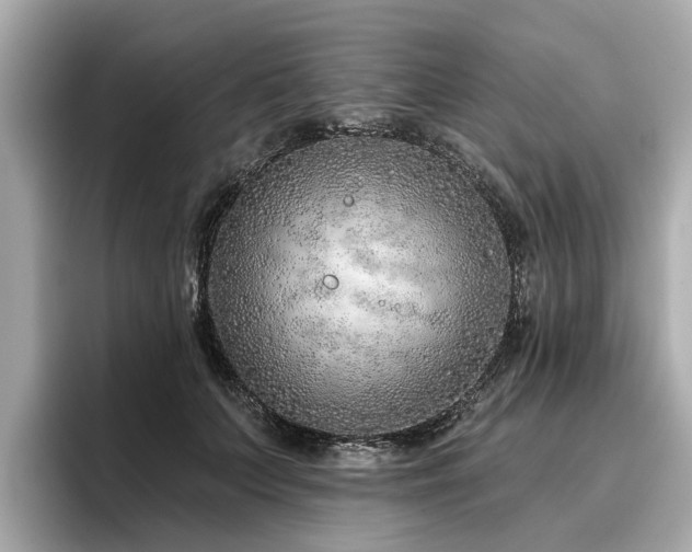 X0000096710703200802051421