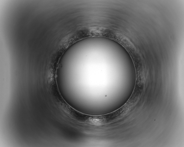 X0000096710706200802051421