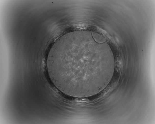 X0000096710707200802051421