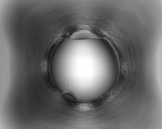 X0000096710708200802051421