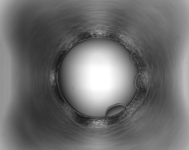 X0000096710709200802051421