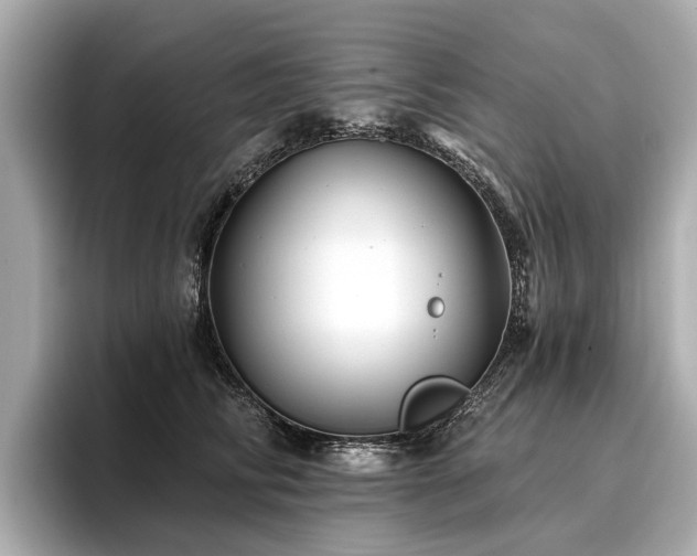 X0000096710710200802051421