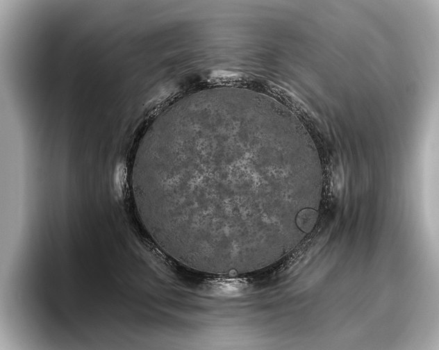 X0000096710711200802051421