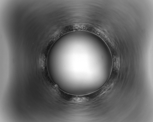 X0000096710712200802051421