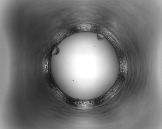 X0000096710717200802051421