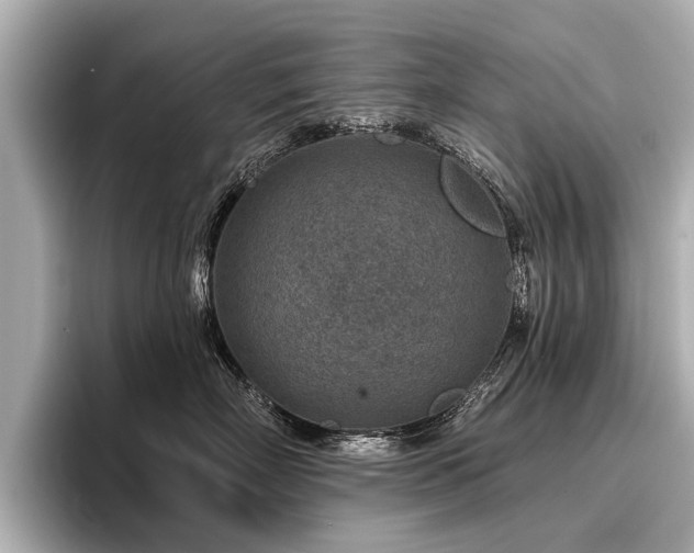 X0000096710718200802051421