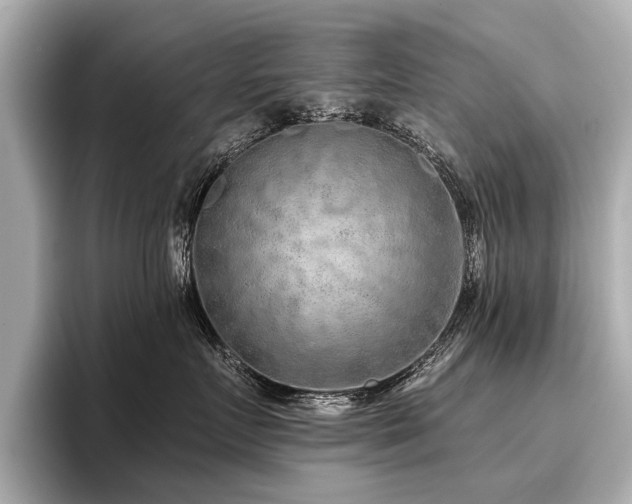 X0000096710719200802051421