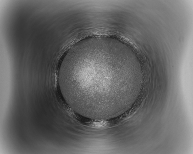 X0000096710720200802051421