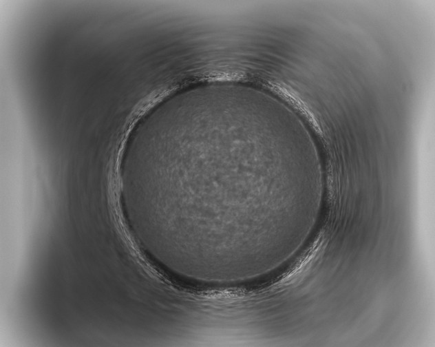 X0000096710721200802051421