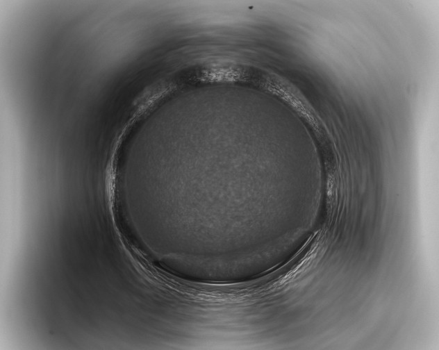 X0000096710722200802051421