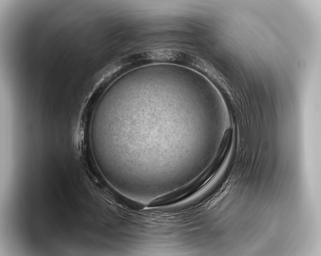 X0000096710723200802051421