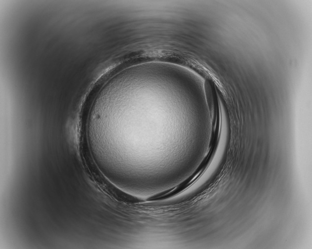 X0000096710724200802051421