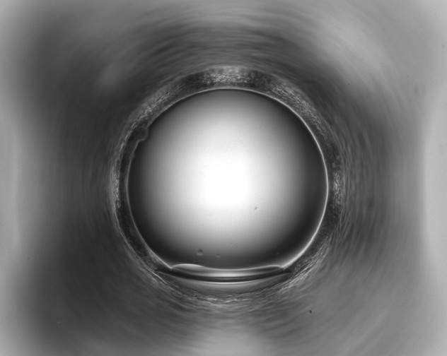 X0000096710725200802051421