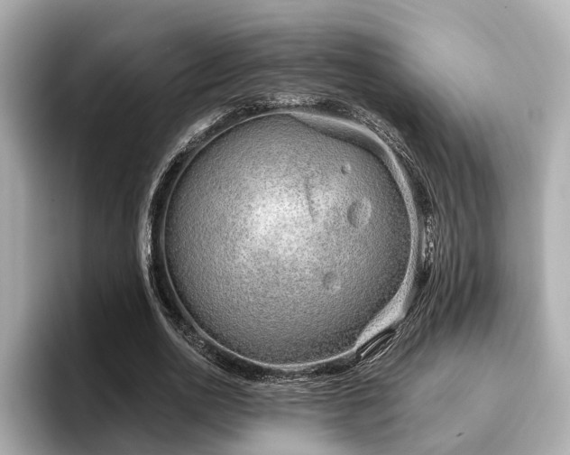 X0000096710726200802051421