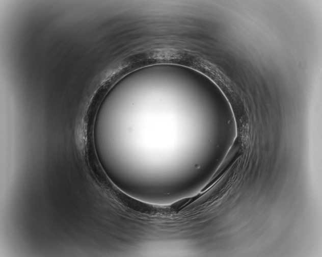 X0000096710727200802051421